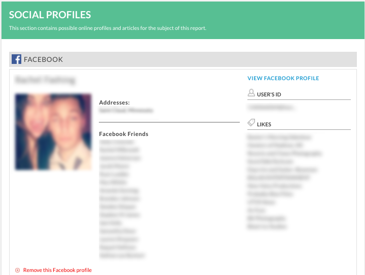 Online social media profiles
