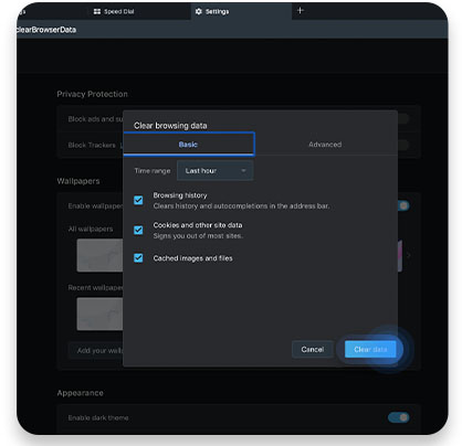 Seleccione el tipo de datos que desea eliminar y haga clic en Borrar datos para borrar el caché en Opera