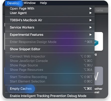 Haga clic en Desarrollar en la barra de menú, luego haga clic en Borrar caché para borrar el caché de Safari