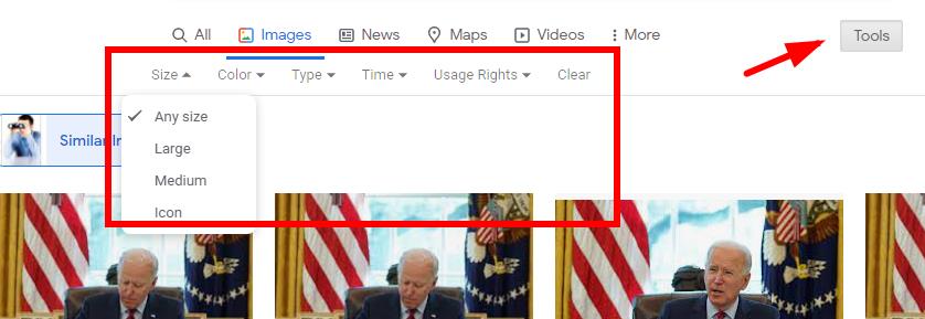 Biden Image Search Example 3