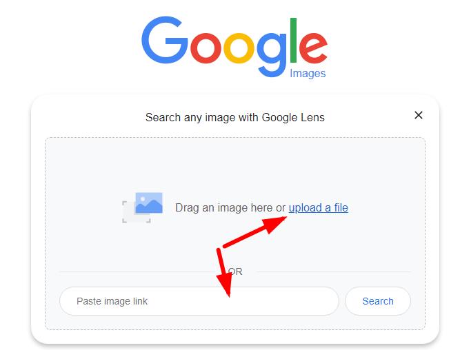 upload image to google